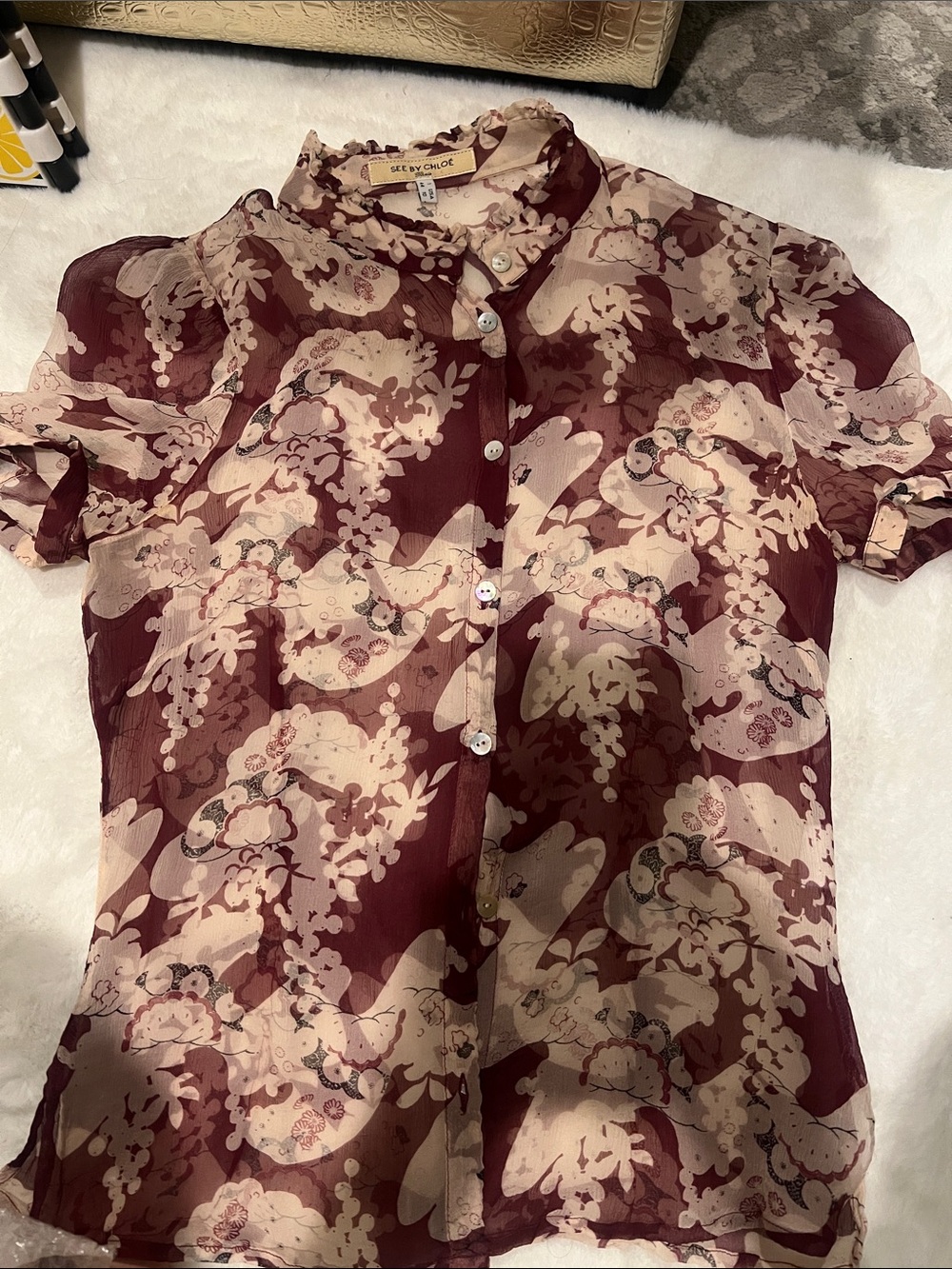 Sheer Floral Button-Up Blouse in Burgundy and Cream